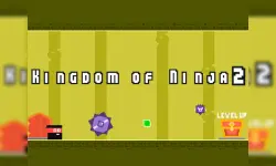 Kingdom of Ninja 2 image