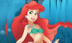 Princess Ariel Dress Up image