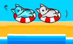Aqua Dogy image