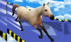 Animal Impossible Track Rush image