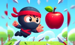 Flip Ninja image