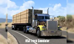 USA Truck Simulator 2024 image