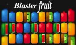FZ Blaster Fruit image