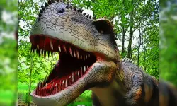 Dinosaurs Scary Teeth Puzzle image