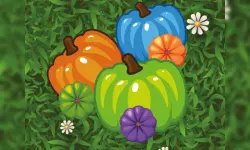 Color Pumpkin Match image