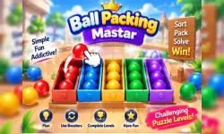 Ball Packing Master Puzzle – Fill Box image