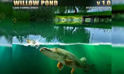 Willow Pond image