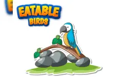 Eatable Birds image