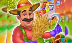 Village Farm Life image