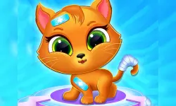 Cute Cat Doctor image