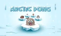 Arctic Pong image