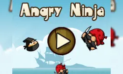 Angry Ninjas image