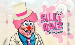 Silly Quiz image