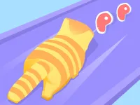 Cat Evolution image