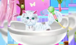 Pet Groomer image