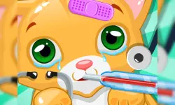 Kitty Doctor image