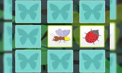 Kids Memory - Insects image