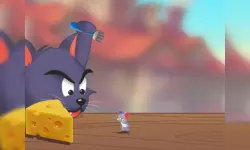 Cat And Mouse image