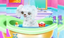 My New Poodle Friend - Pet Care Game image
