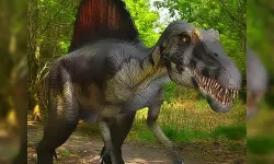 Dinosaurs Jigsaw image