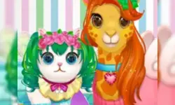 Funy Pet Haircut image