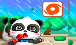 Baby Panda Hurricane Safety image