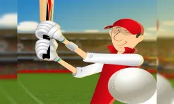 stick cricket image