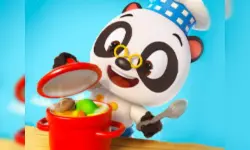 Dr Panda Restaurant image