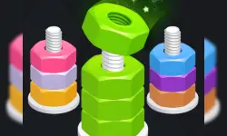 nuts puzzle:color sort image