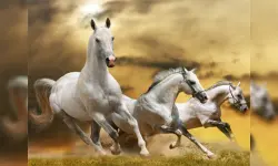 Running Horse Slide image