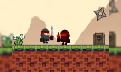 Circle Ninja 2019 image