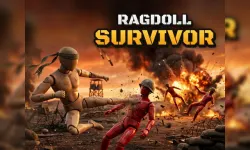 Ragdoll Survivor image