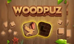 WoodPuz: Block Puzzle Games image