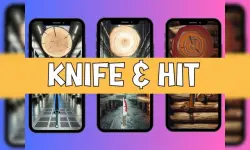 Knife and Hit image