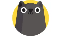 Catch The Cat image