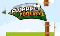 Floppy Football image