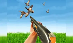 BIRD HUNTING Gun Fire Shooter image