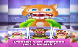 image bg Funny Pet Vet