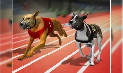 Racing Dog Simulator : Crazy Dog Racing Games image
