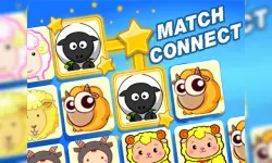 Match Connect image