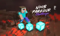 Noob Parkour Challenge 3D image