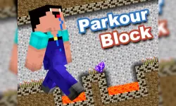 Minecraft Parkour Block image