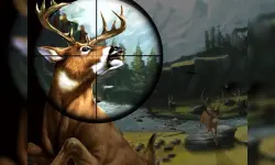 Deer Hunter image