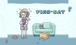 Find Cat image