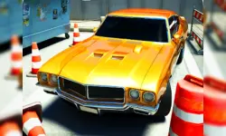 Parking Your Car image