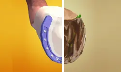 Horseshoeing image