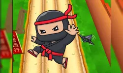 Nano Ninjas image