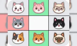 MiawDoku image