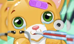 Little Cat Doctor image
