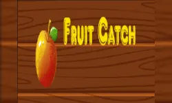 Fruit catch image